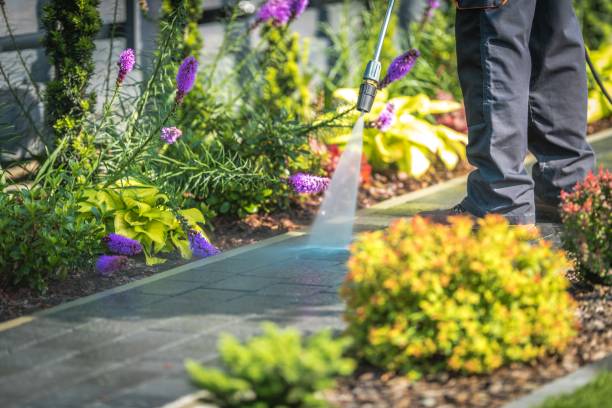 Best Roof Washing  in Rutherford, NJ